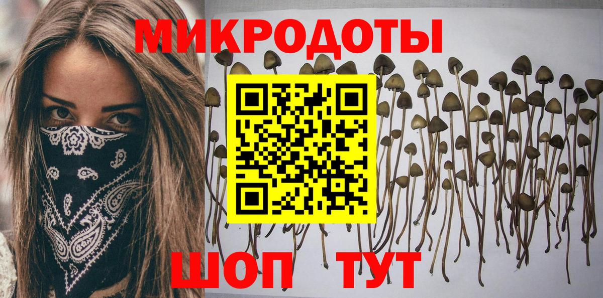 Псилоцибиновые грибы MAGIC MUSHROOMS  Галлюциногенные грибы Magic Shrooms  как найти наркотики  Вход с VPN  Котовск 